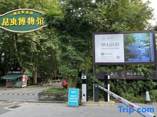 Yunji Chengxintang Zhongshan B&B