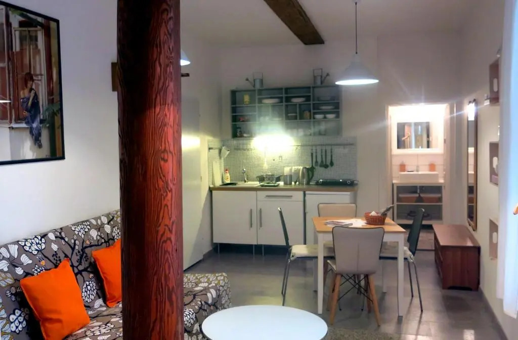 Magnificent apartment in the center of Prague