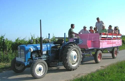 Weingut zur Schlafmütze