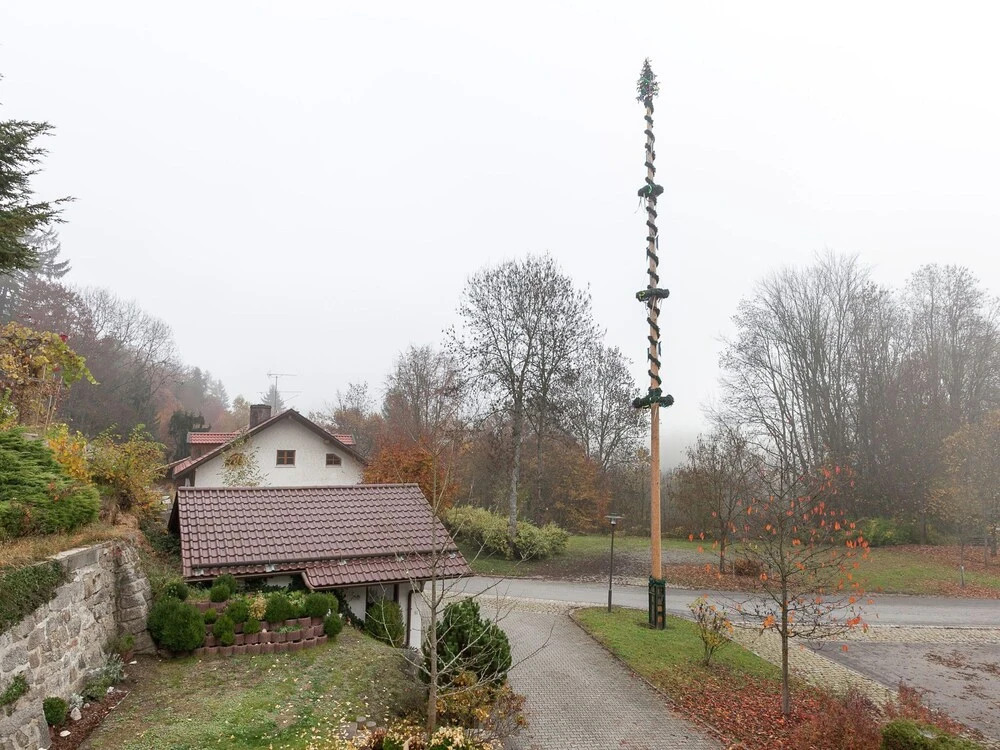 Cozy Holiday Home in Saldenburg near Forest