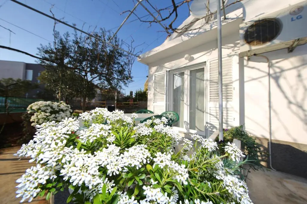 Apartman Antonio