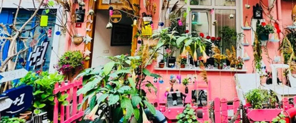 Pembe Pansiyon
