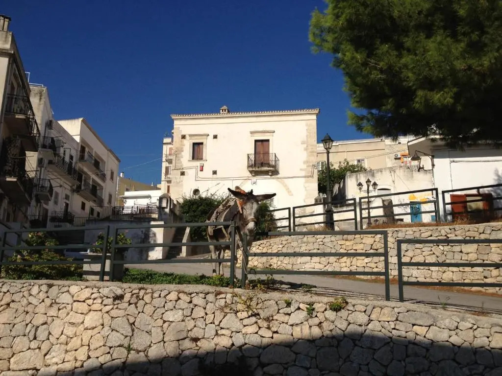 Villa Monte Saraceno