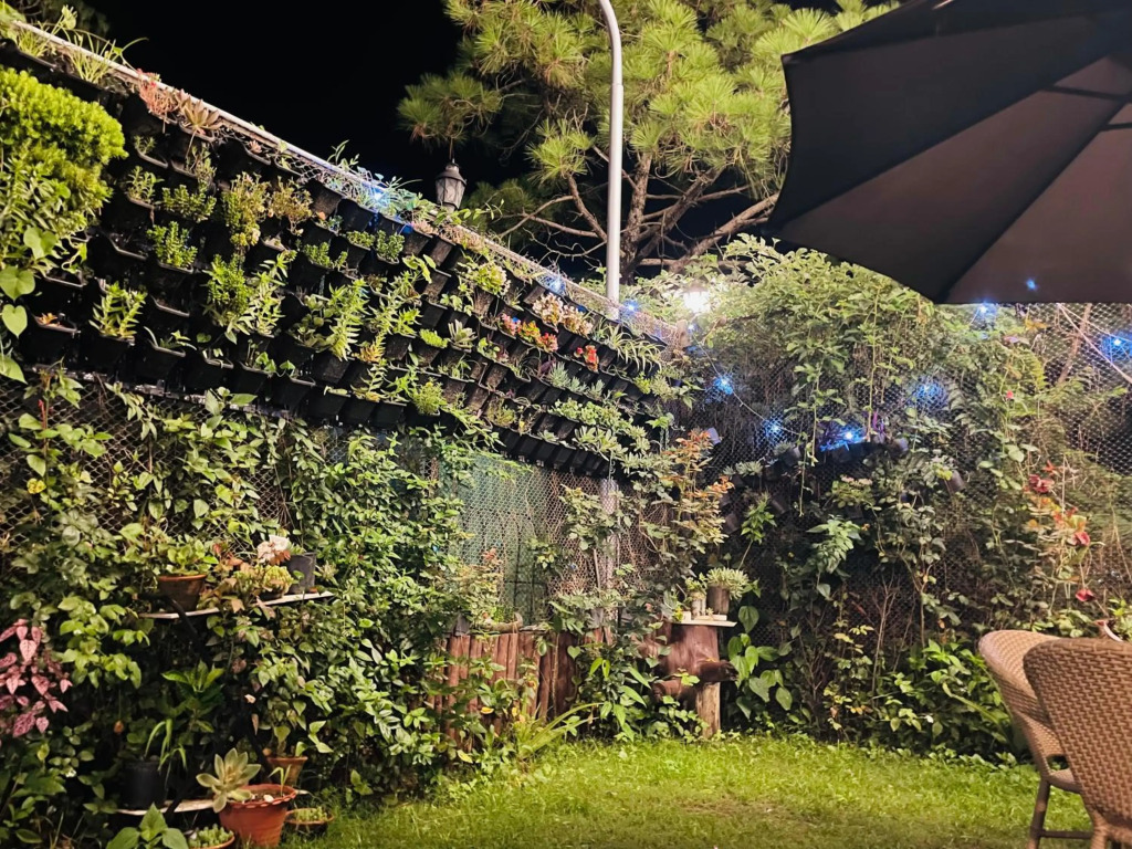 House of lights
