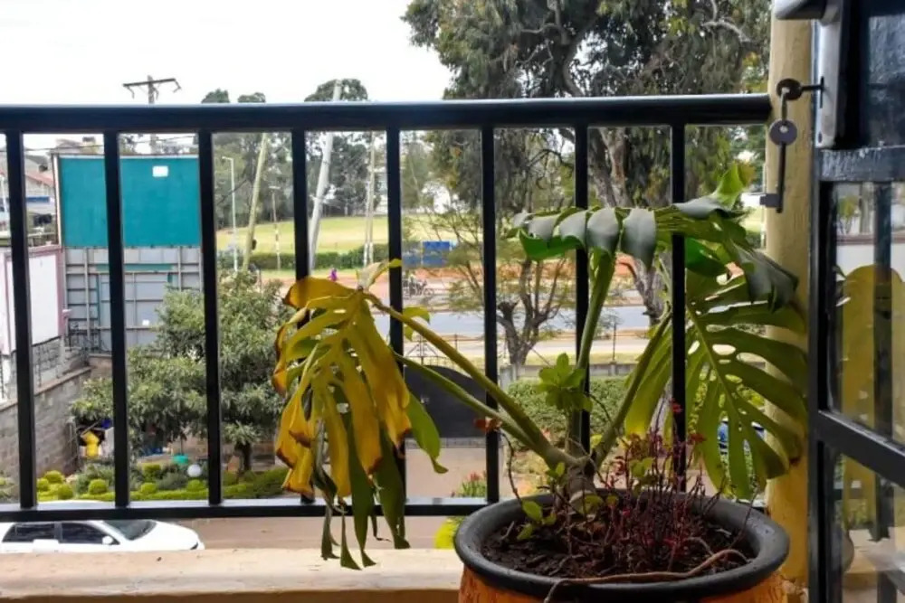 Stay.Plus Ngong Road Apartment