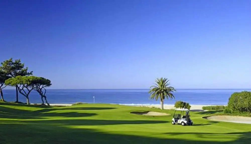 Lovely 1-bedroom Apartment in Olhos de Agua