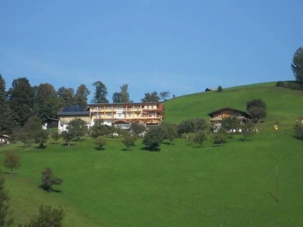 Hotel & Alpengasthof Pinzgerhof