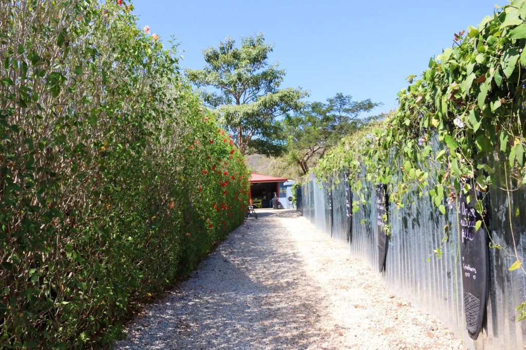 Sirena Serena B&B Retreat