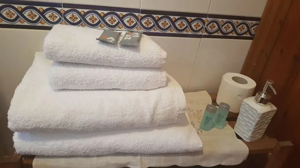 Mas Rubió