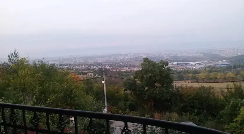 Villa Pontica