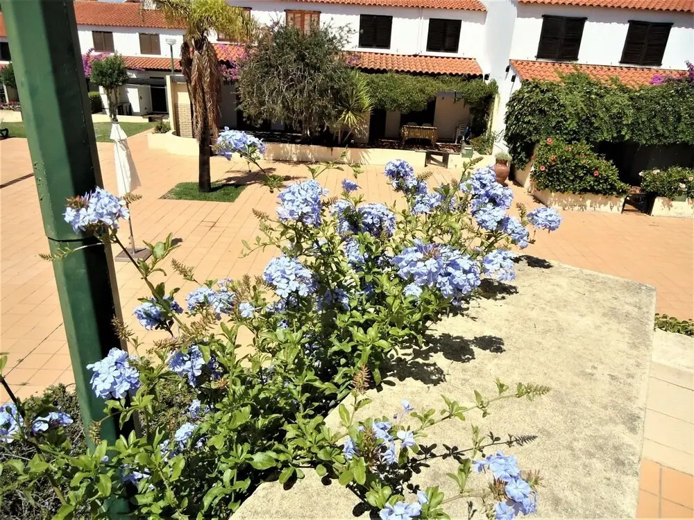 V2 Vilar Jardim Piscina Wifi