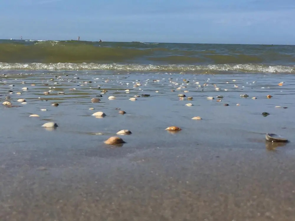SEA YOU Hotel Noordwijk