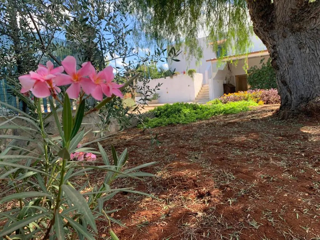 AL PEPE NERO - Casa in campagna a soli 5 minuti dal mare