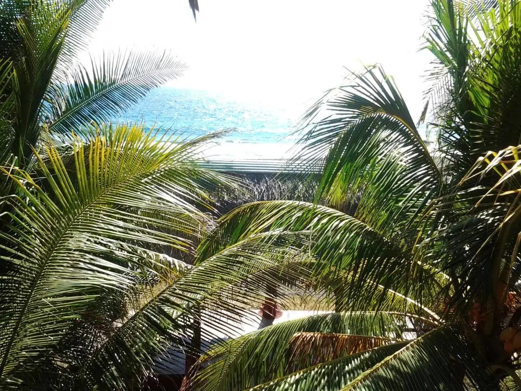 Villa Tortugas