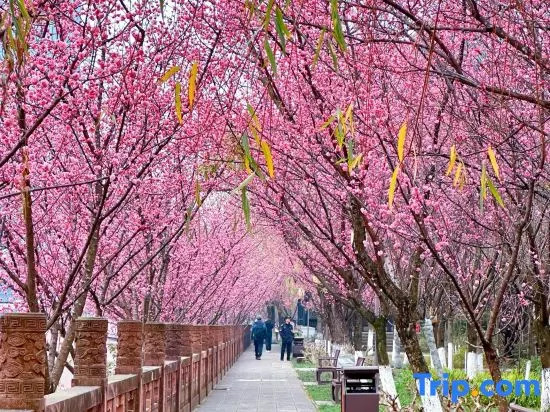 JI Hotel (Chengdu Sichuan University)