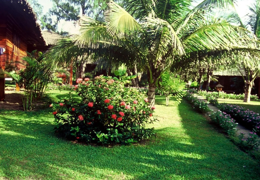 Coco Beach Resort