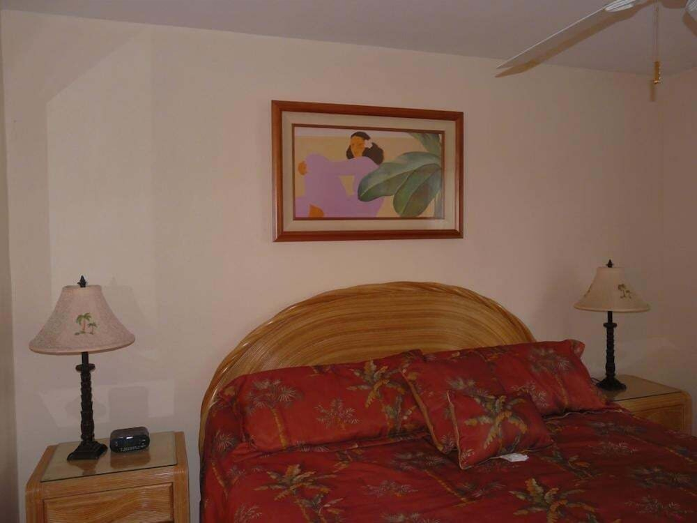 Napili Point Oceanfront Turtle View 1br - Unit B30 1 Bedroom Condo