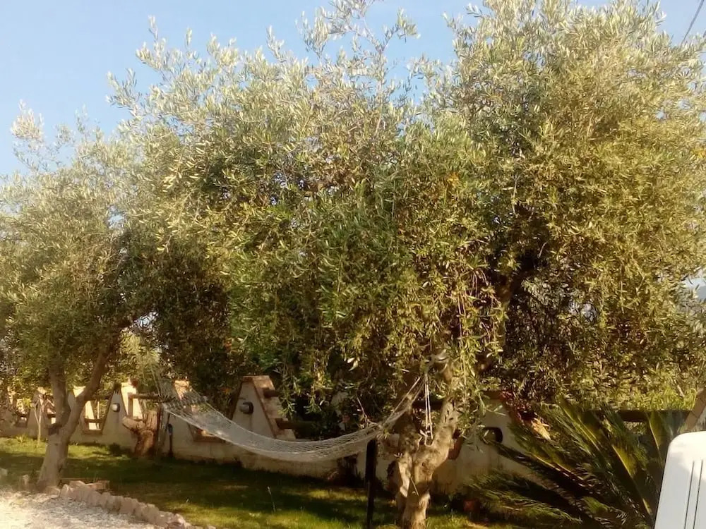 Casale 920