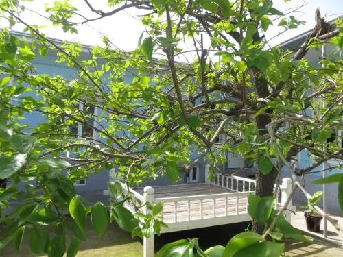 Mirzo Bed and Breakfast