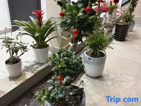 Tiantai Zhonglixunta Homestay (Guoqing Temple Scenic Area)
