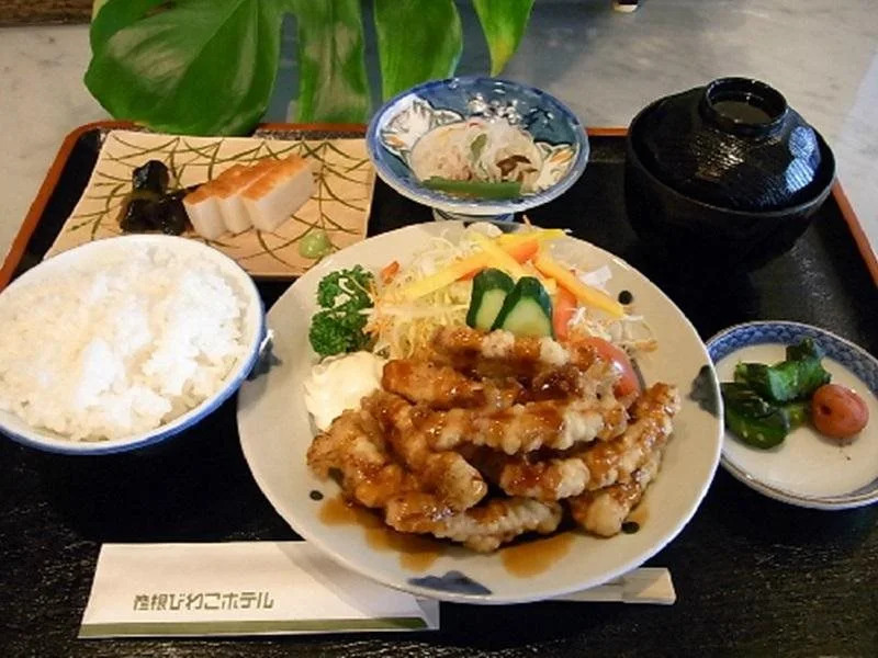 Hikone Biwako Hotel