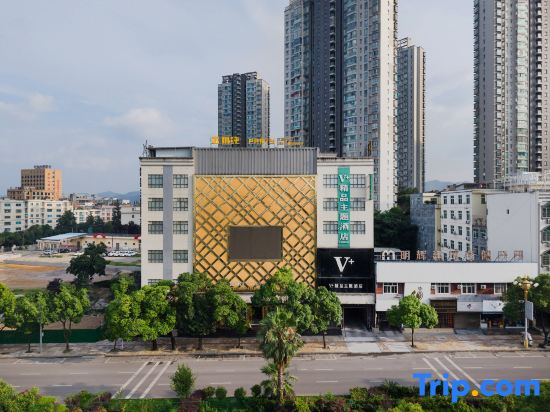 Xingren V Plus Boutique Theme Hotel