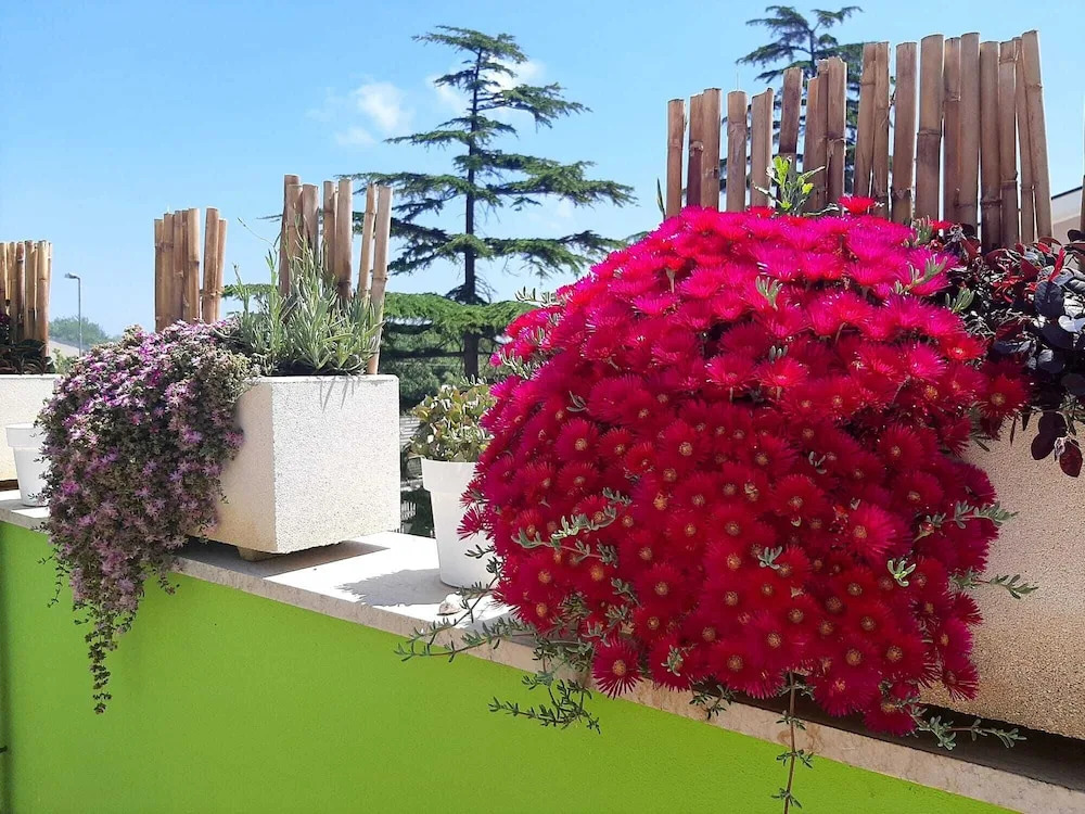 B&B SMARTFIT HOUSE - Room & Relax in Pescara