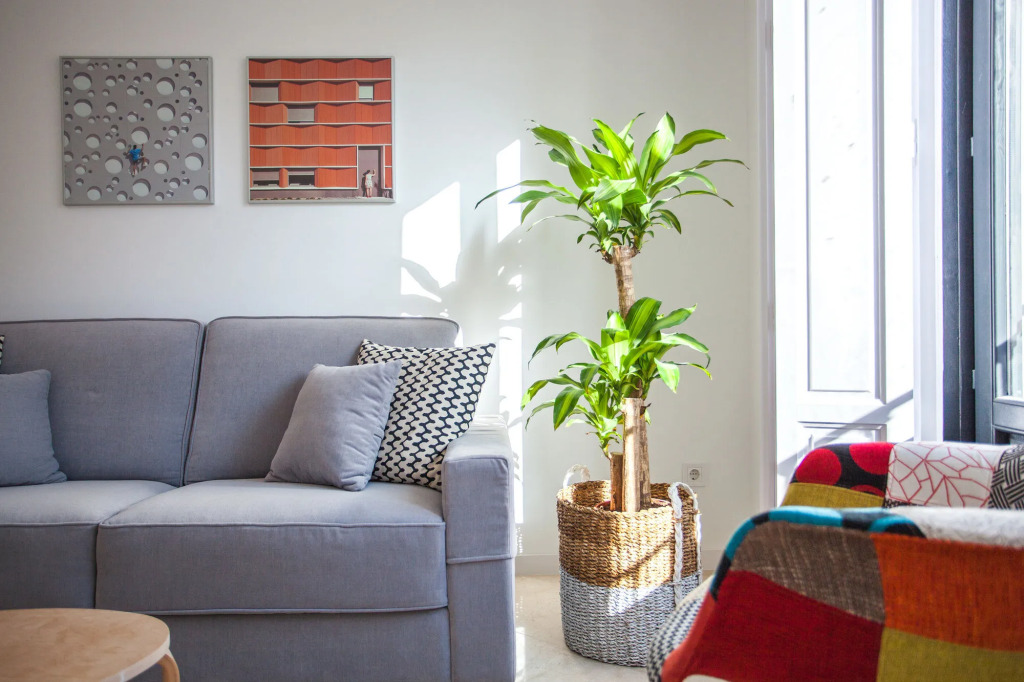 Minas Central Suites