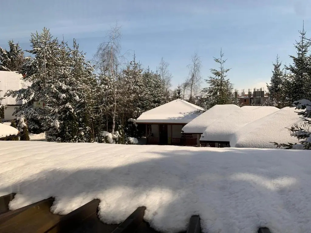 Vila Marija Zlatibor