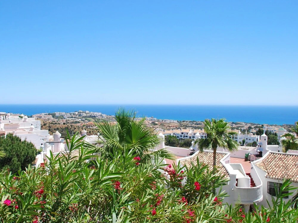 Luxury Apartment With Breathtaking Sea View Surrounded by Palm Trees