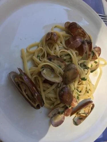 Hotel Pishat e Buta