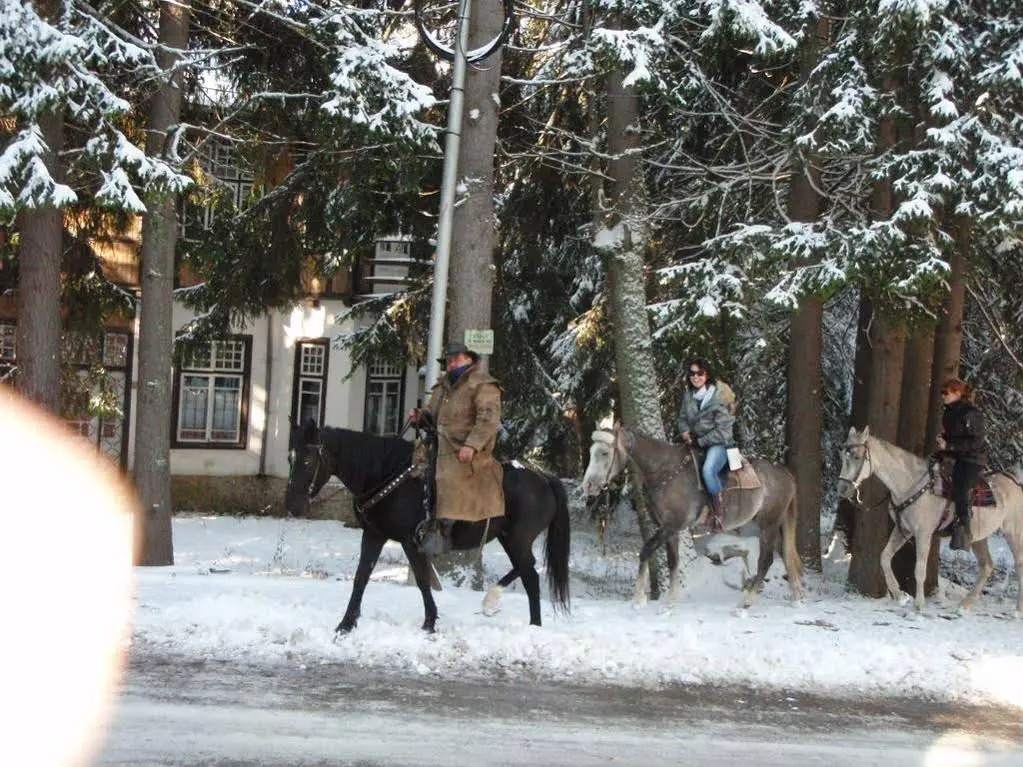 Saint George Borovets Hotel