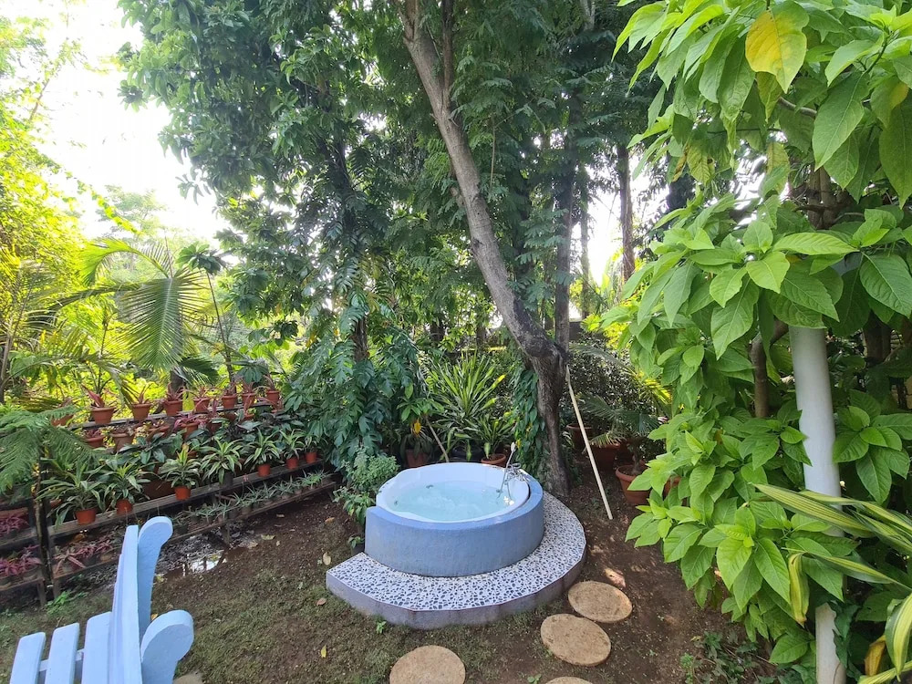 Peace Lily Cottage