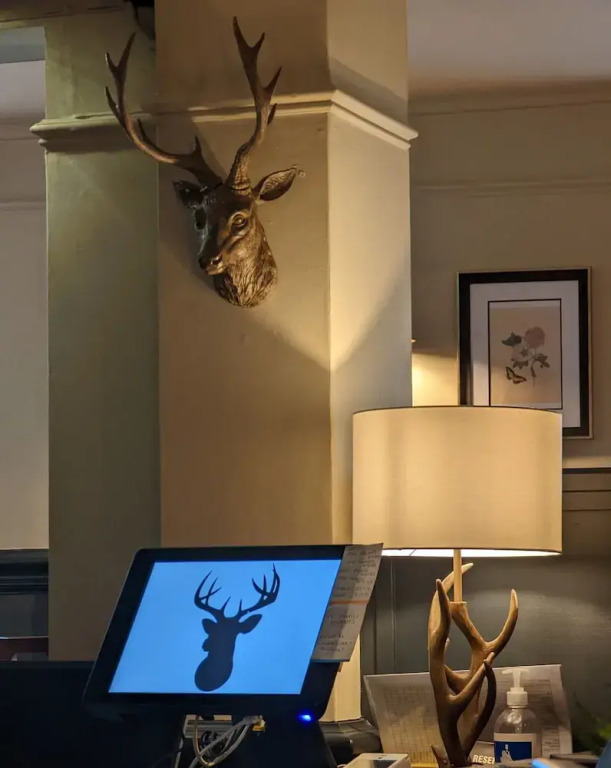 The Buck Hotel