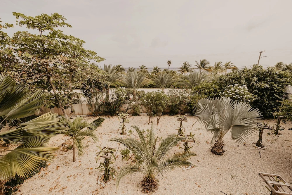 Le Soleil d'Or CaymanBrac