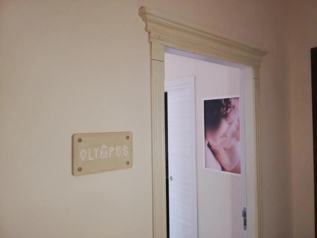 OLYMPUS ROOM