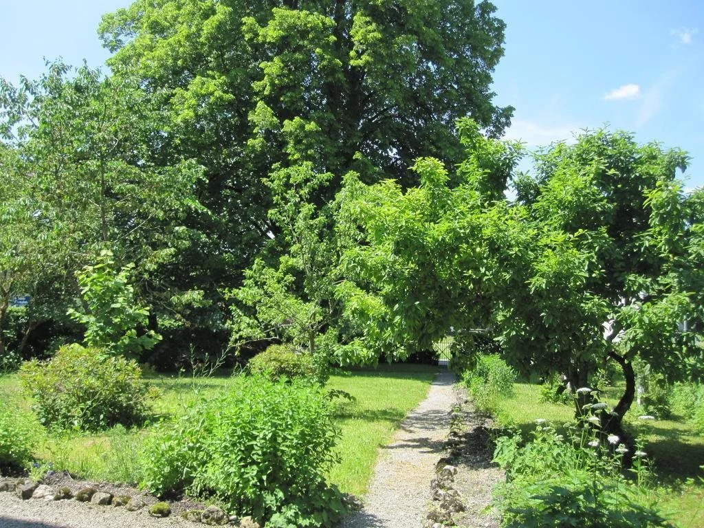 Romantic-Pension Albrecht - Villa next to UNESCO World Heritage