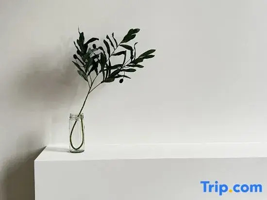xianjulazy house guesthouse
