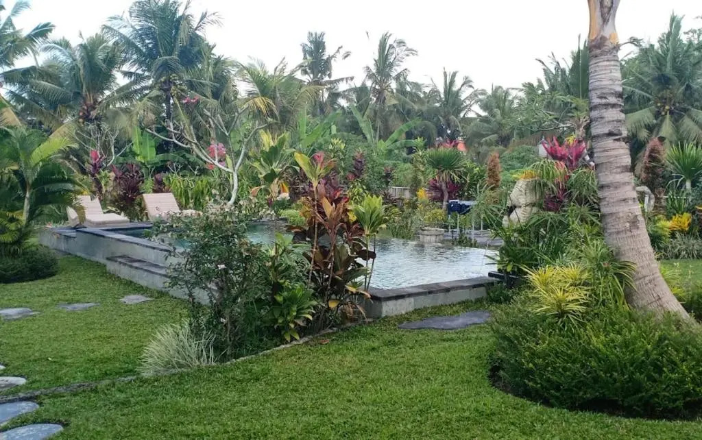 Green Coconut Cottage