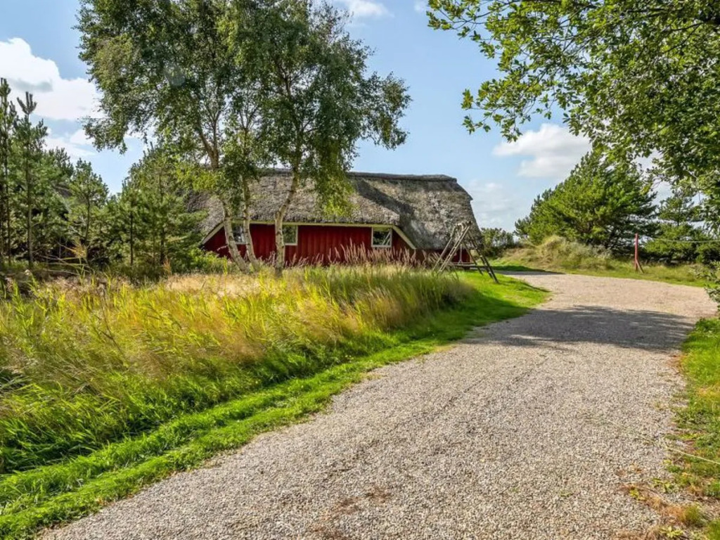 "Dilruba" - 3.2km from the sea in Western Jutland