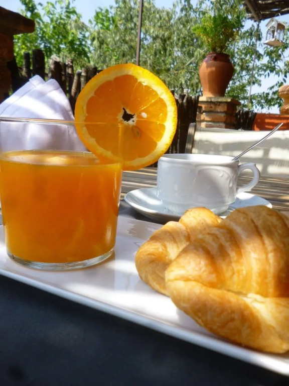 Les Vinyes Alojamiento Rural Boutique & SPA
