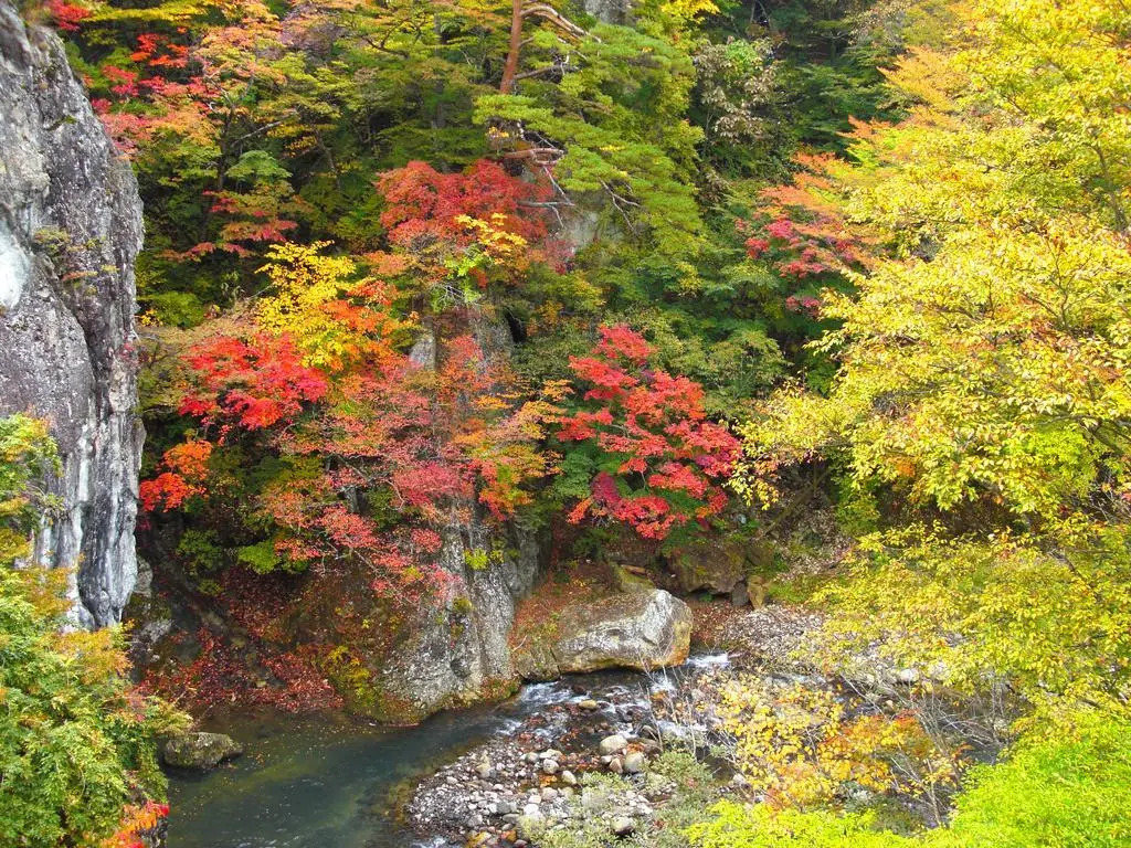Shuzankata Sakamoto