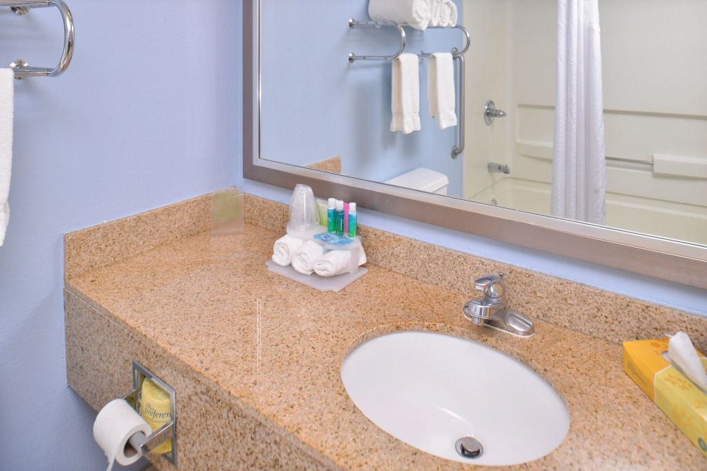 Holiday Inn Express & Suites Omaha Downtown Old Market by IHG