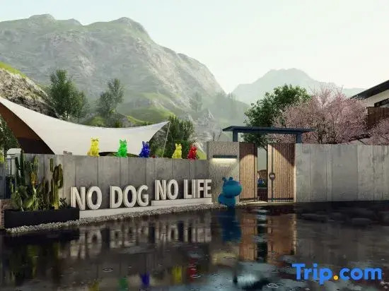 No Dog No Life