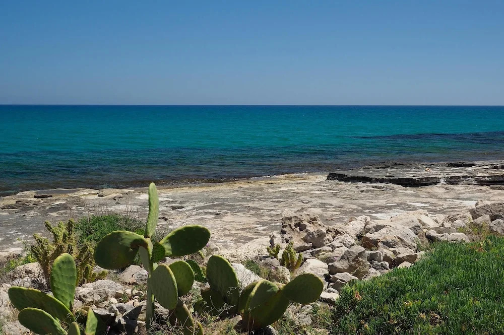 Cala Sol - Primula