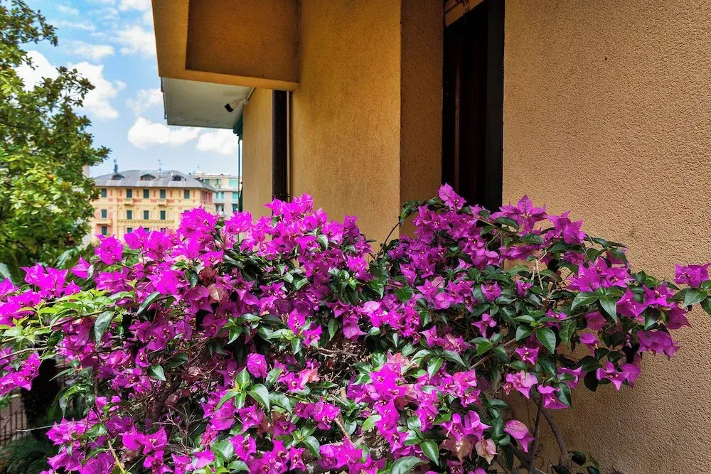 Mondial Apartment by Wonderful Italy