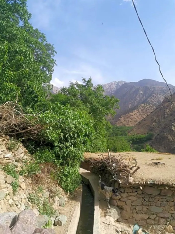 Akal guest house