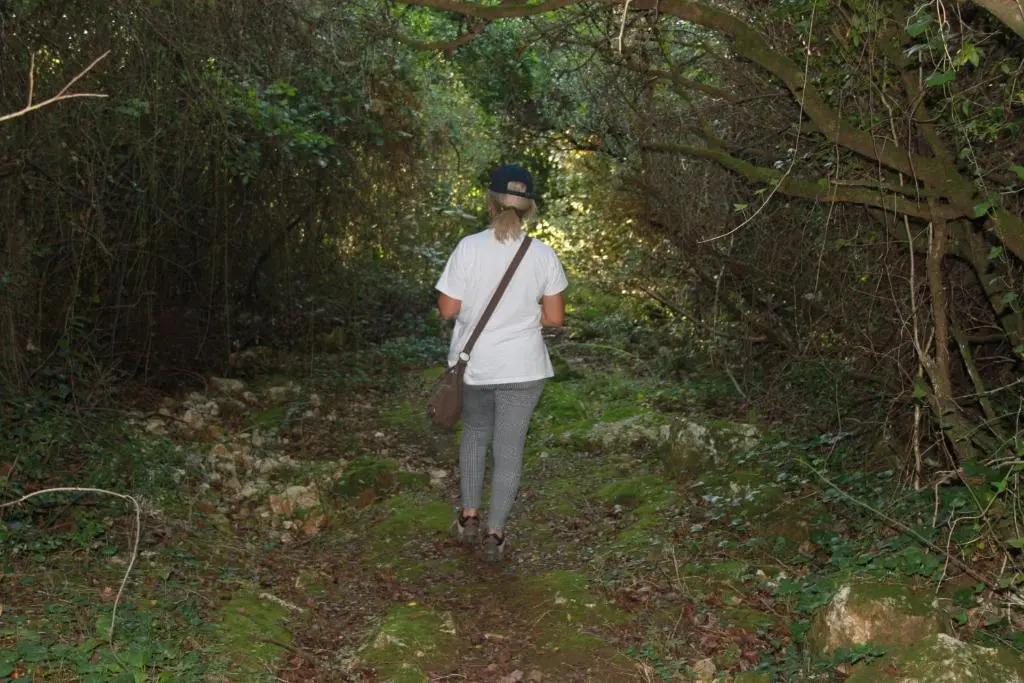 Quinta de São João