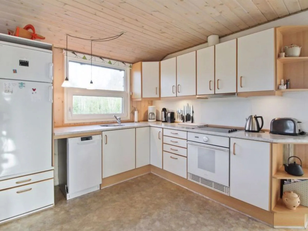 "Partenij" - 250m from the sea in Western Jutland