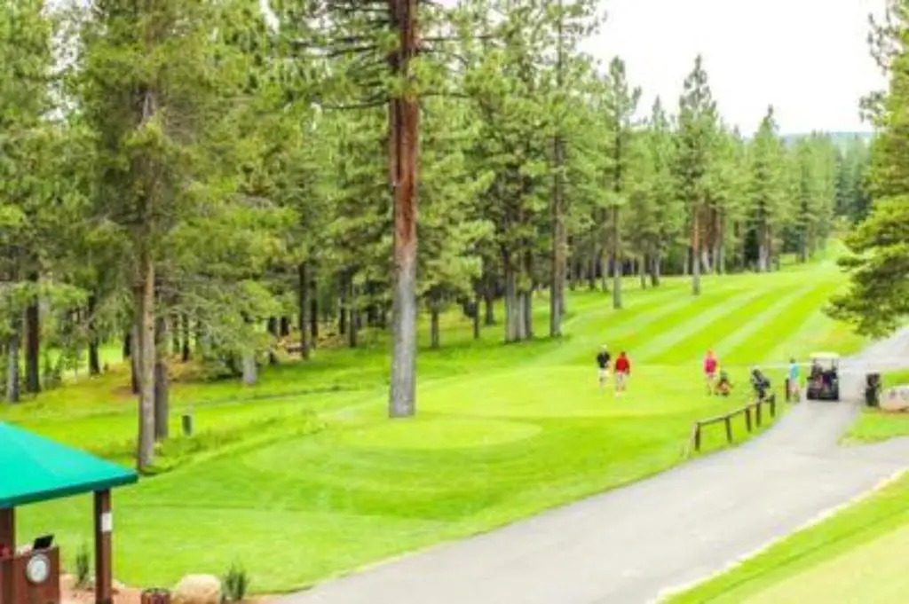 High Pines Hideaway by Avantstay - Newly Remodeled in Tahoe Donner With Hot Tub!